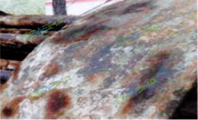 1-230I1145623X3.png