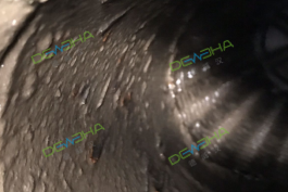 1-230PQ514062b.png