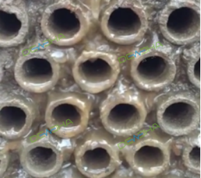 1-230I1155953L6.png